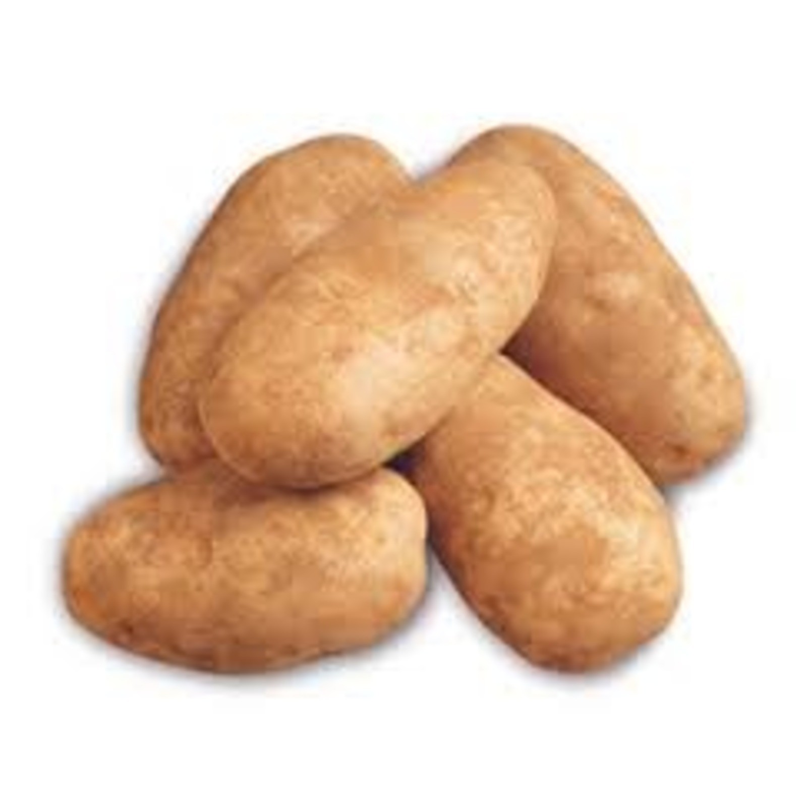 Potato Russet 1 LBS