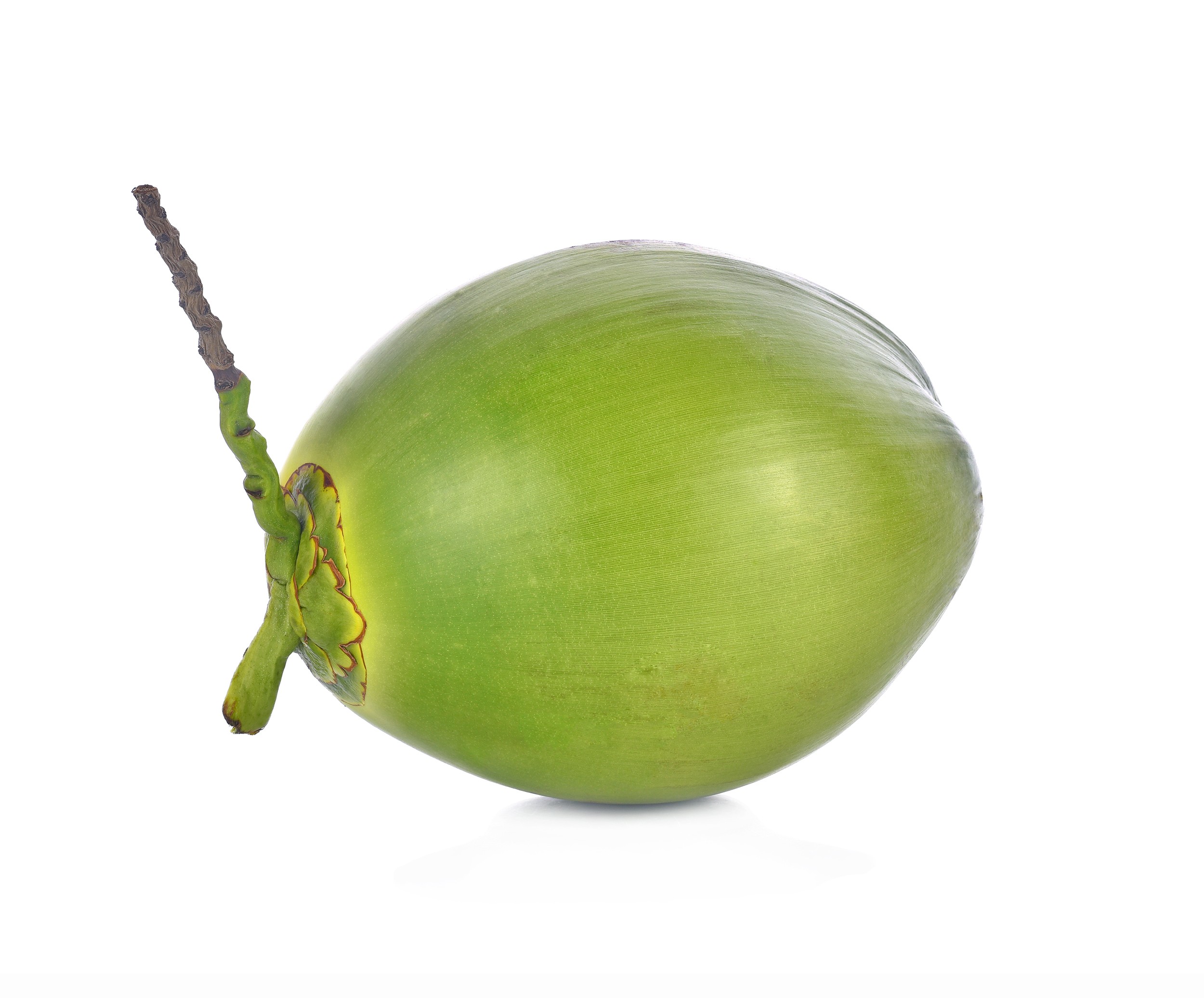 Coconut 1 LBS