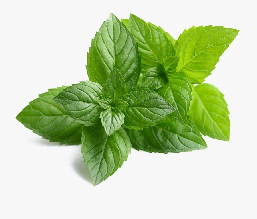Mint Leaves/Neem 1 BUNCH