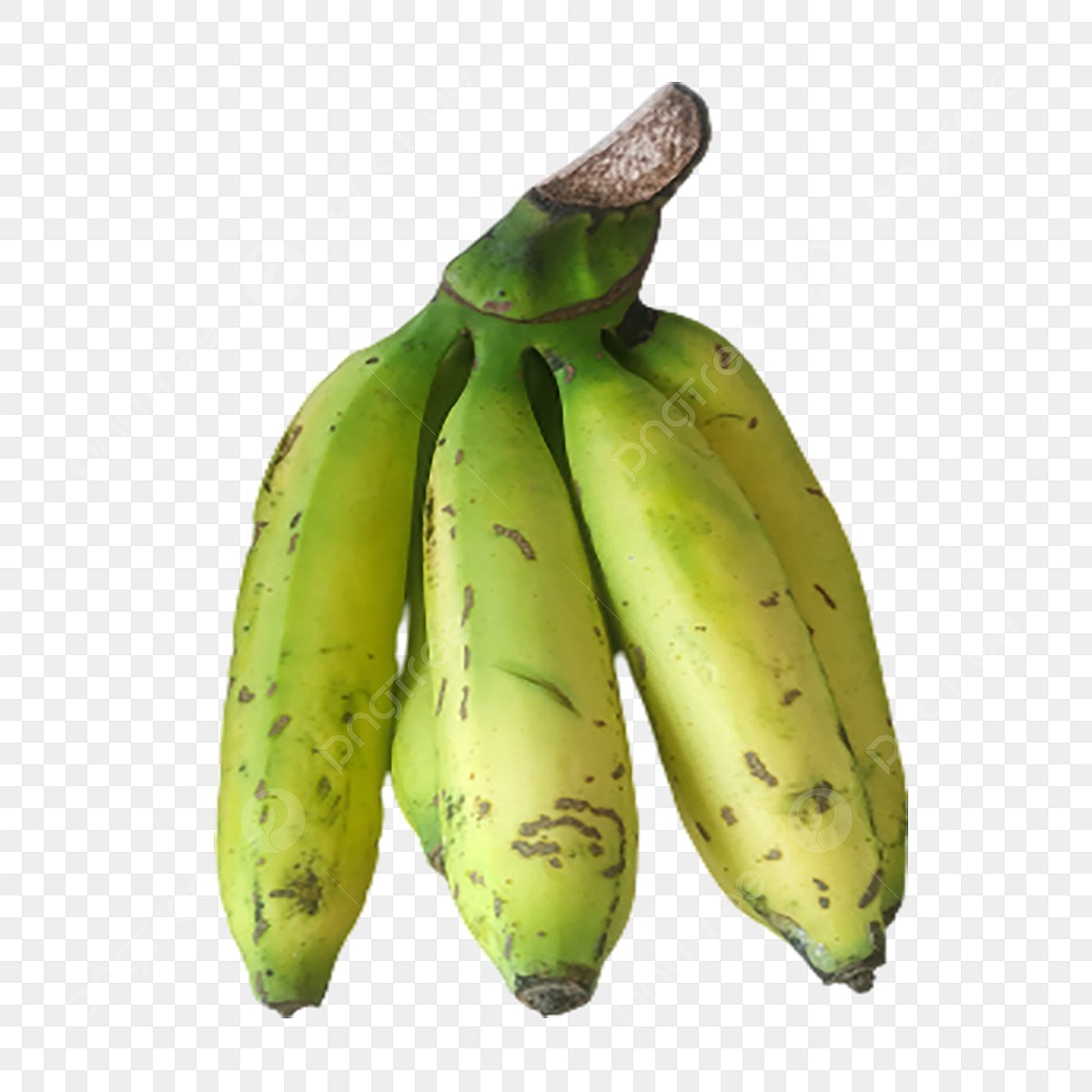Plaintain Small/Big 1 LBS