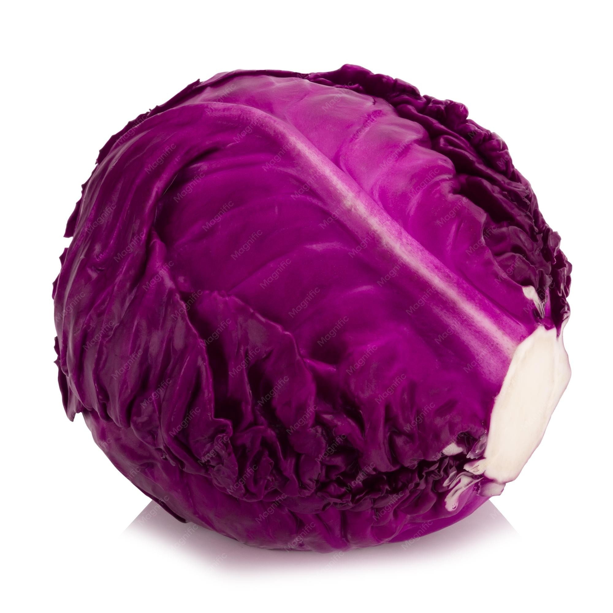 Purple Cabbage 1 Lbs