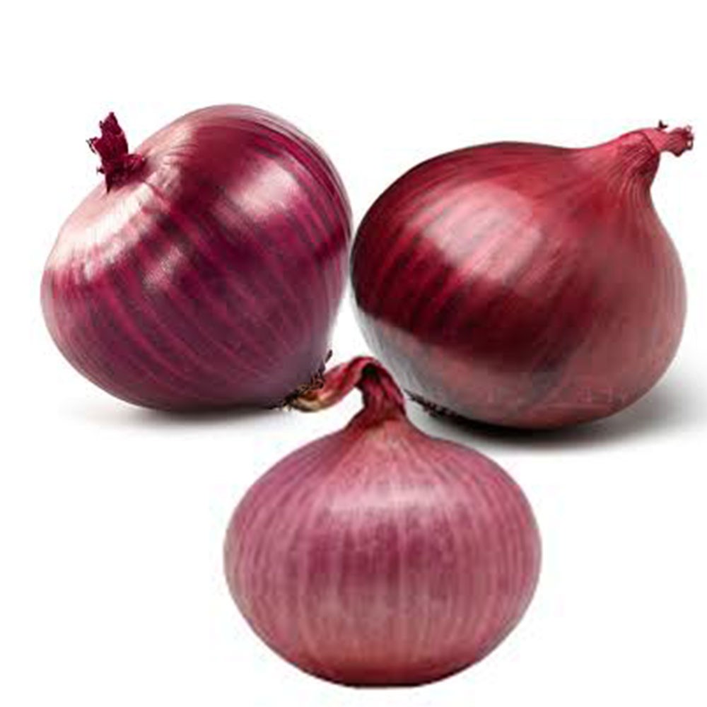 Onion Red 3 LBS