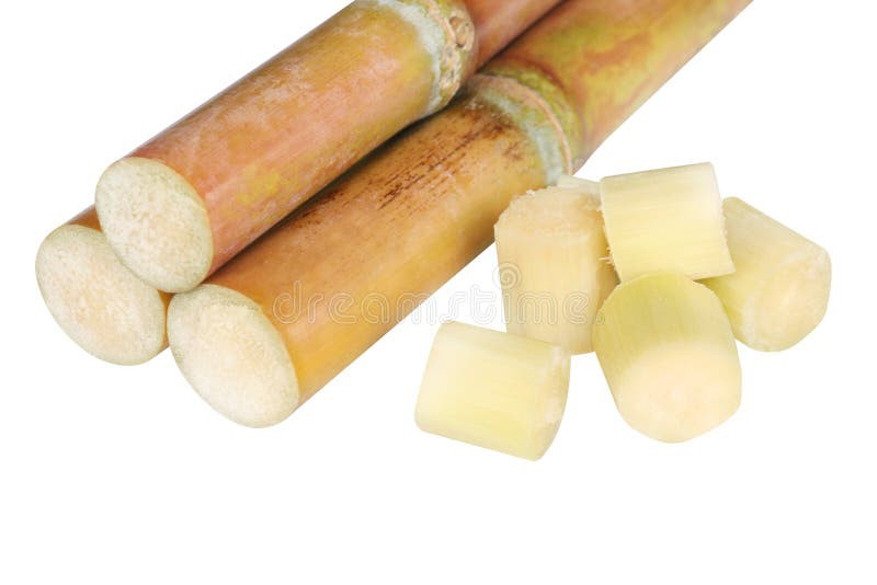 Sugarcane Piece 1 COUNT