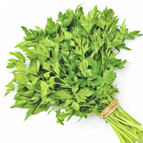 Parsley Bunch 1 Bunch