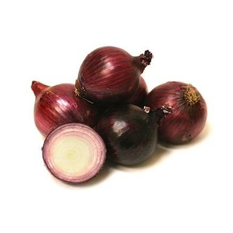 Onion Red 50 LBS
