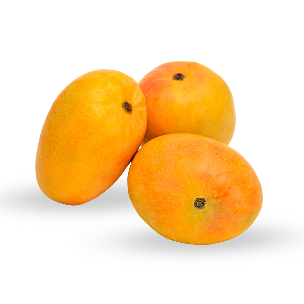 Mango 1 EACH