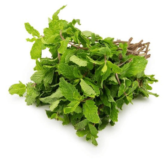 Mint [Pudina] 1 BUNCH