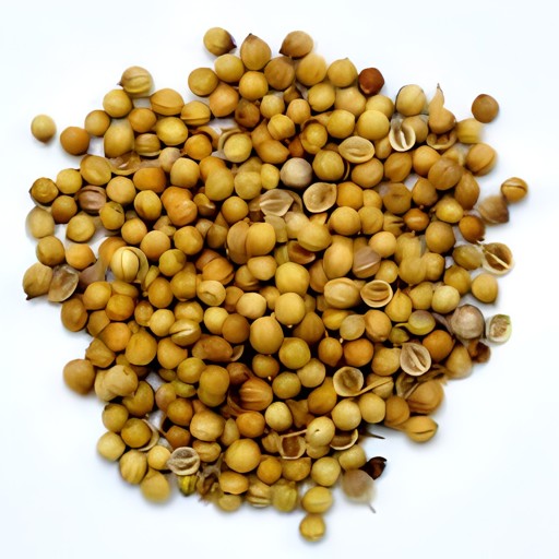MAYA CORIANDER SEED 9 OZ