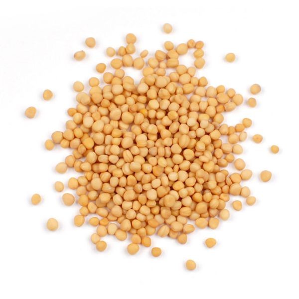 MAYA YELLOW MUSTARD SEEDS 10 OZ
