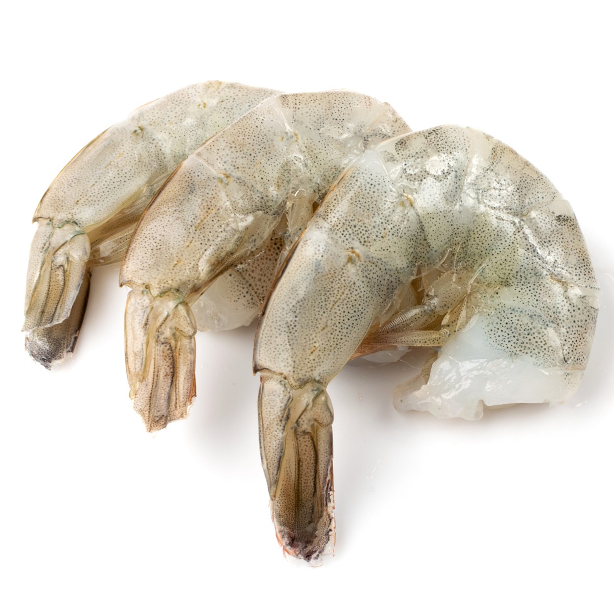 Shell On Shrimp 1 LBS