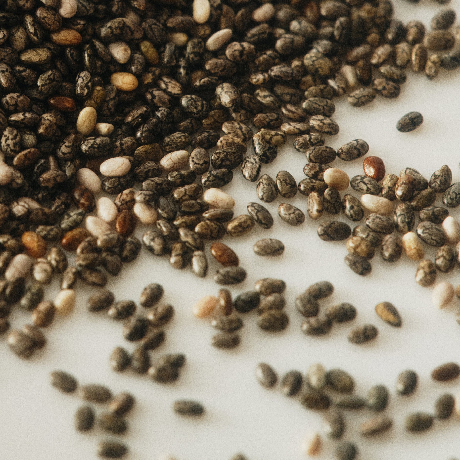 SHAHZADA CHIA SEED 14 OZ