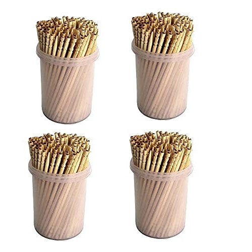 TOOTHPICK 4 PK 4 PACK