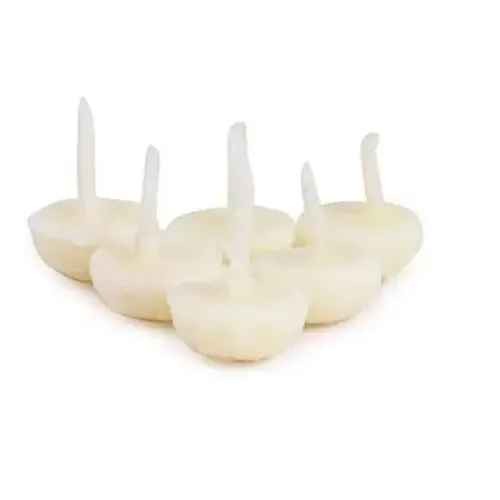 GHEE DIYA INDIA BAZAAR 50 PCS