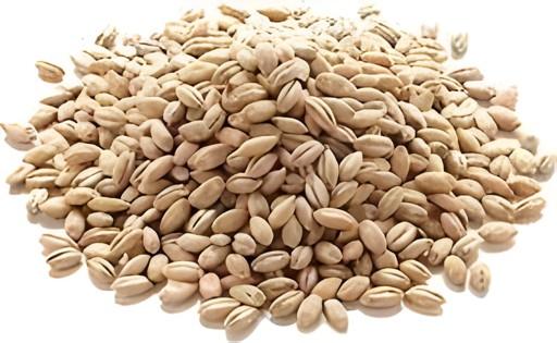 Nirav Haleem Wheat 2 LBS