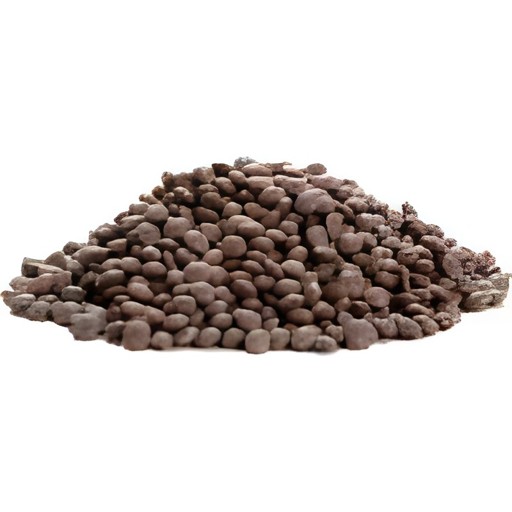 Nirav Masoor Whole 4 LBS