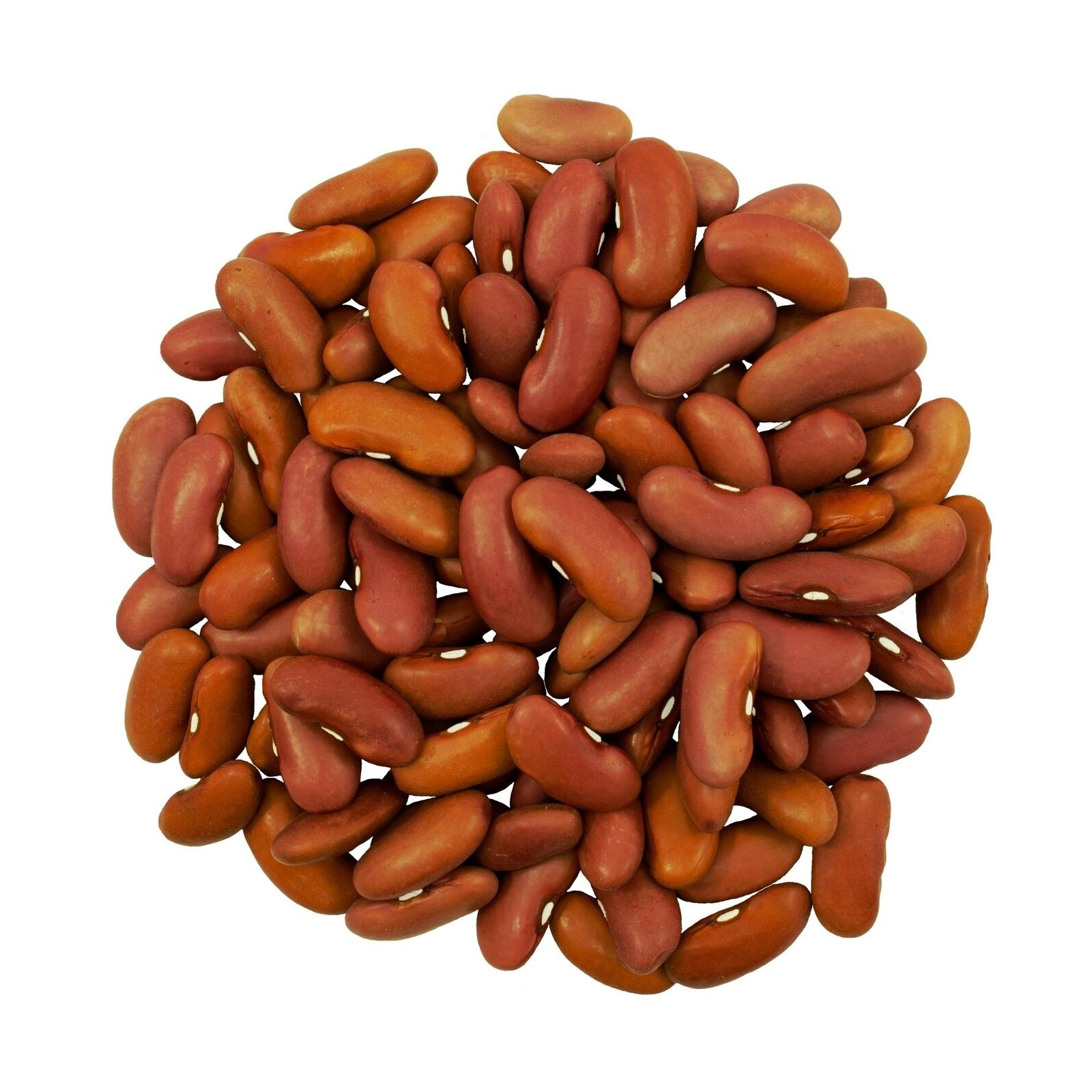 Nirav Light Kidney Beans 4 LBS