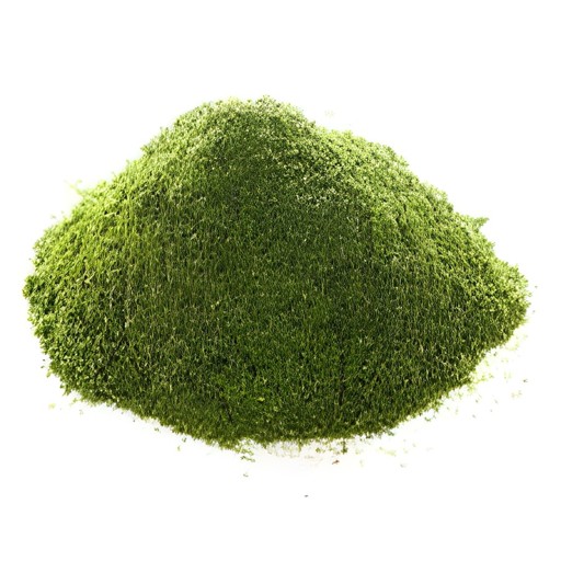 NIRAV MINT POWDER 80 GM