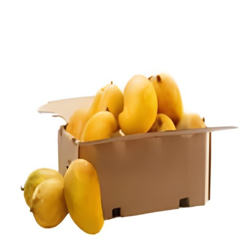 ATAULFO MANGO 1 CASE