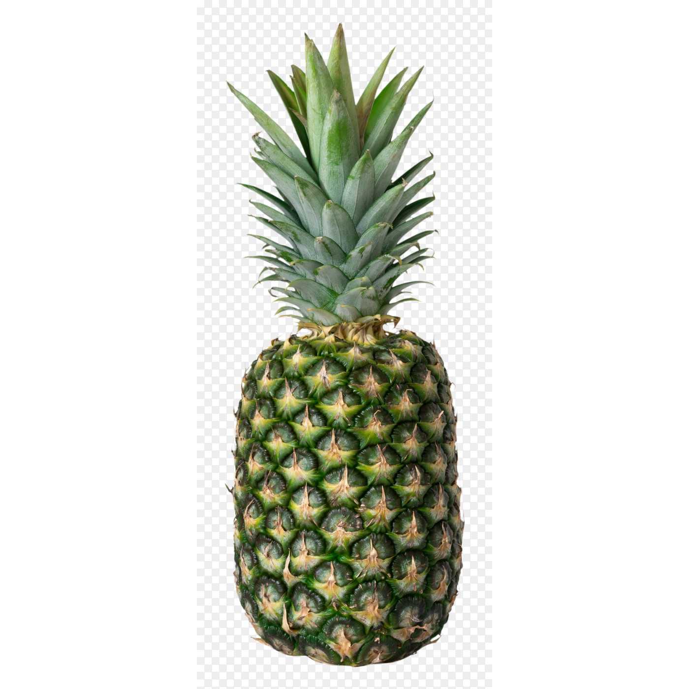 Green Fresh Pineapple 20 OZ