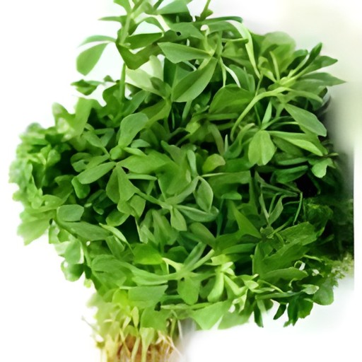 METHI 1 CASE