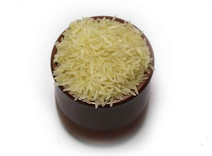 SHAHEEN SELLA 10 LBS