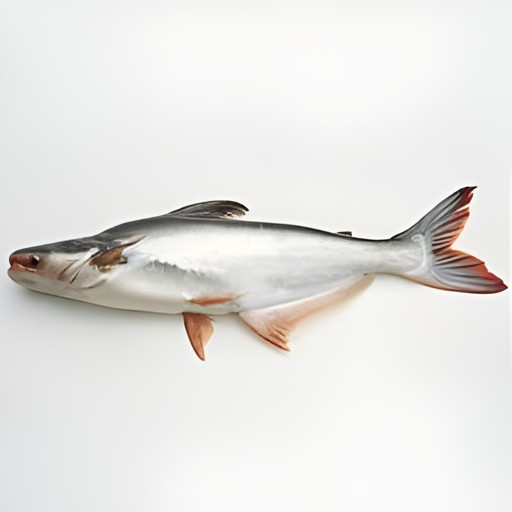 Pangas 1 LBS