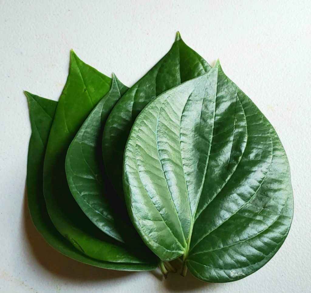 Betle/Pan/Paan Leaves/Tamala Pakulu 1 PCS