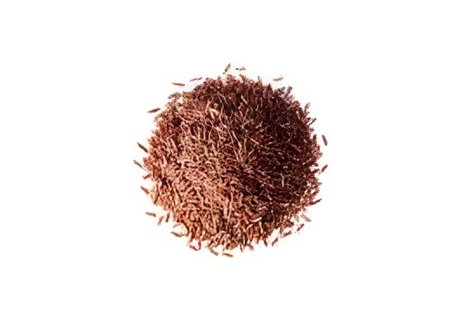 KALUSTYANS SCARLETT RED RICE LONG GRAIN 1 Lbs