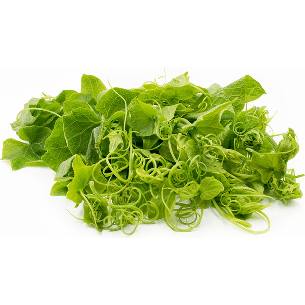 Chayote Leaf Bulk  5 Bunch