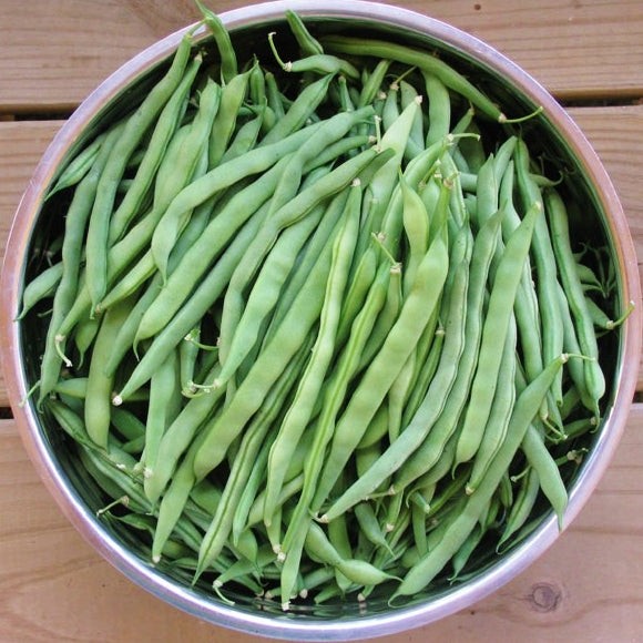 Pole Bean Bulk  5 Bunch