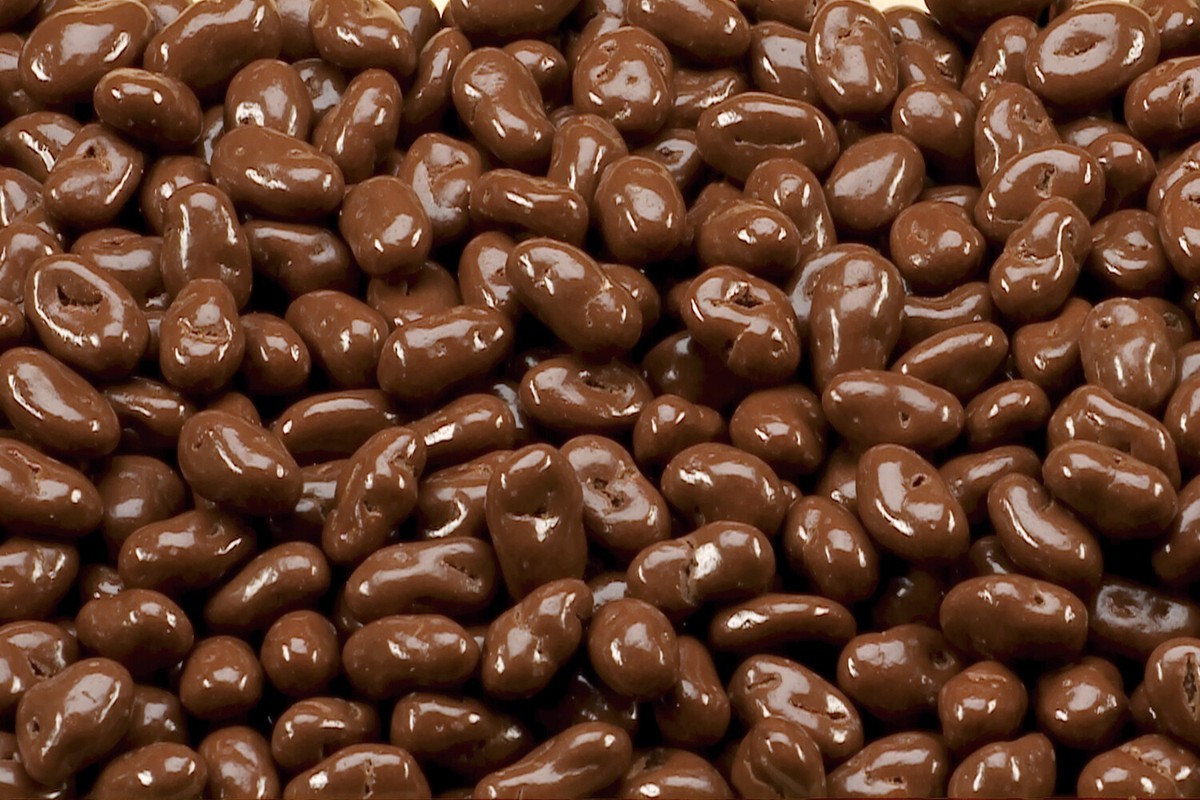 REGAL DARK CHOCOLATE RAISIN 1 PACK