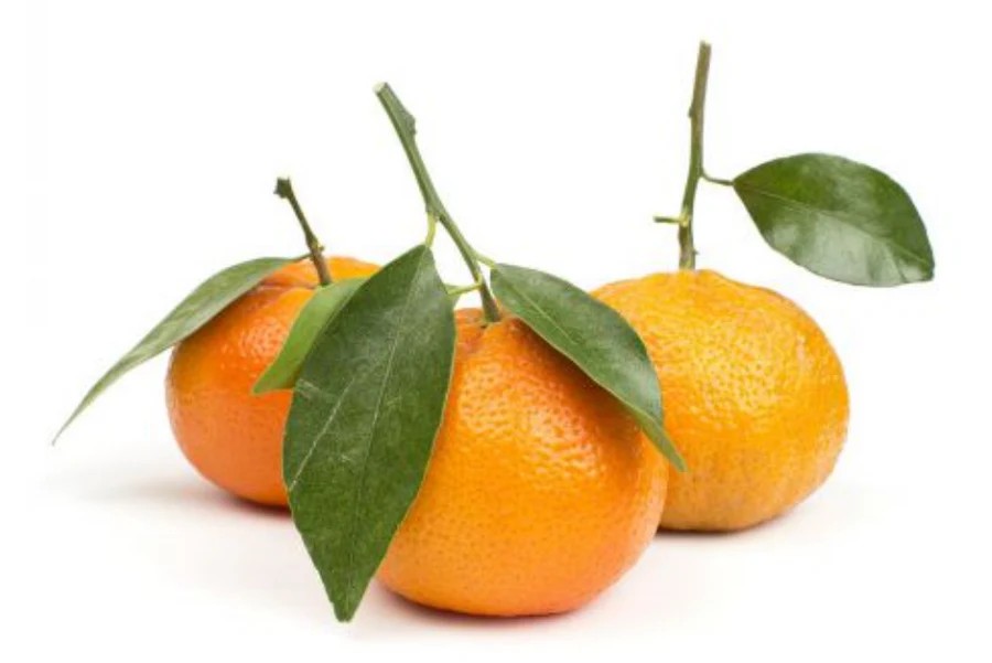 Tangerine With Leaf 1 LBS