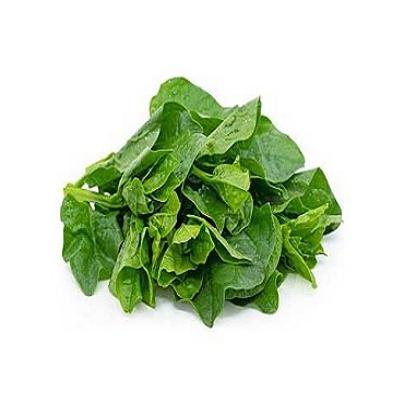 Malabar Spinach / Bacchala Aaku 1 PCS