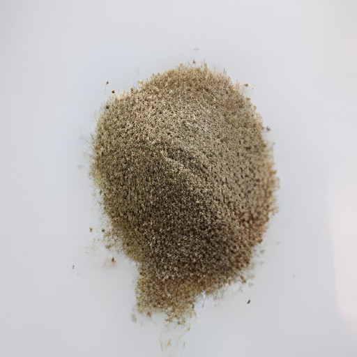 KALUSTYANS CELERY SEASONING SALT 1 Lbs