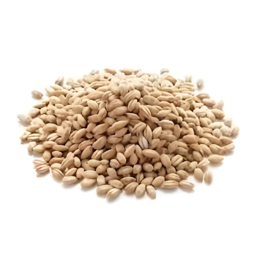 BARLEY WHOLE 200 GM