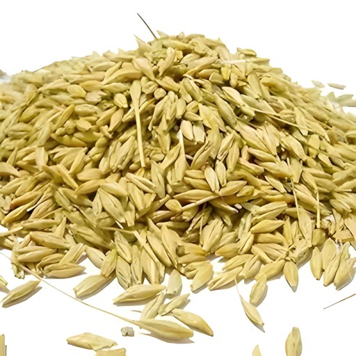 RUSHI BARLY JAV 400 GM