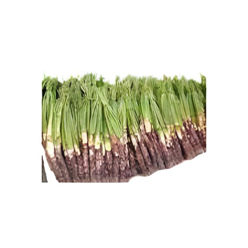 Flat Beans 1 PCS