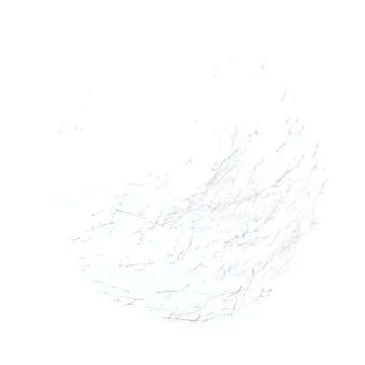 KALUSTYANS GRANULATED SUGAR COARSE CRYSTALS 2 Lbs