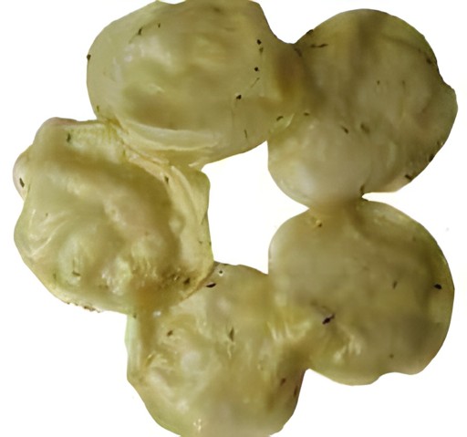 KALUSTYANS KHICHYA RICE PAPAD PLAIN 0.44 Lbs