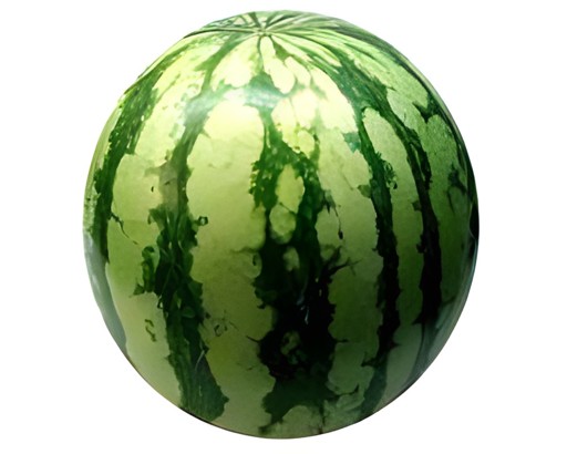 WATER MELON 1 PCS