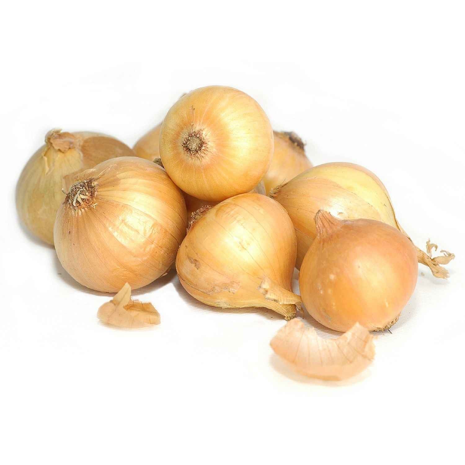 YELLOW ONIONS 10 LBS