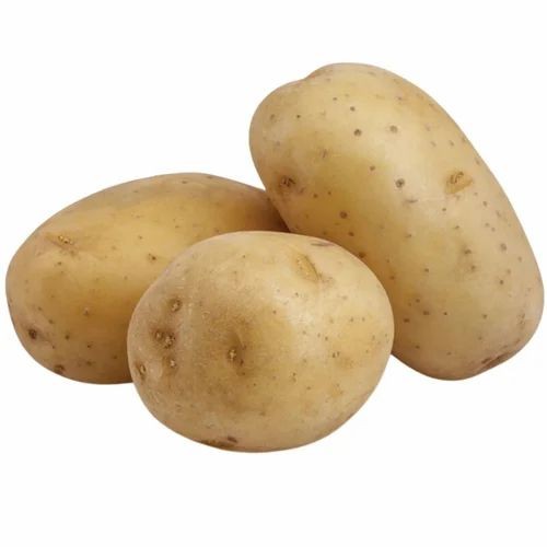 White Potato 1 LBS