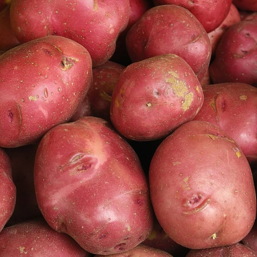 Potato Red 10 LBS