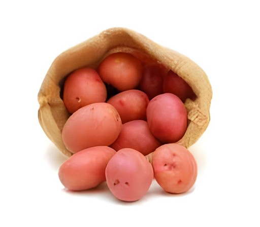 RED POTATO BAG 5 LBS