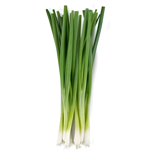 Green Onion 1 LBS
