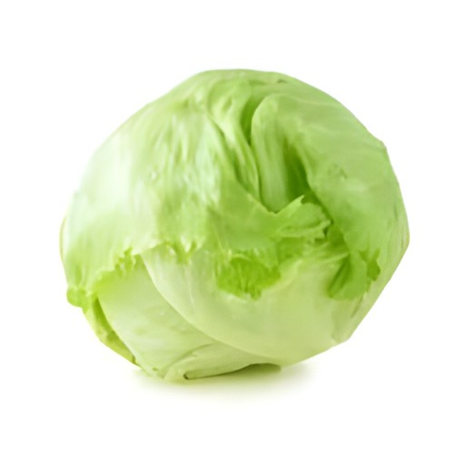 LETTUCE CELLO 1 PCS