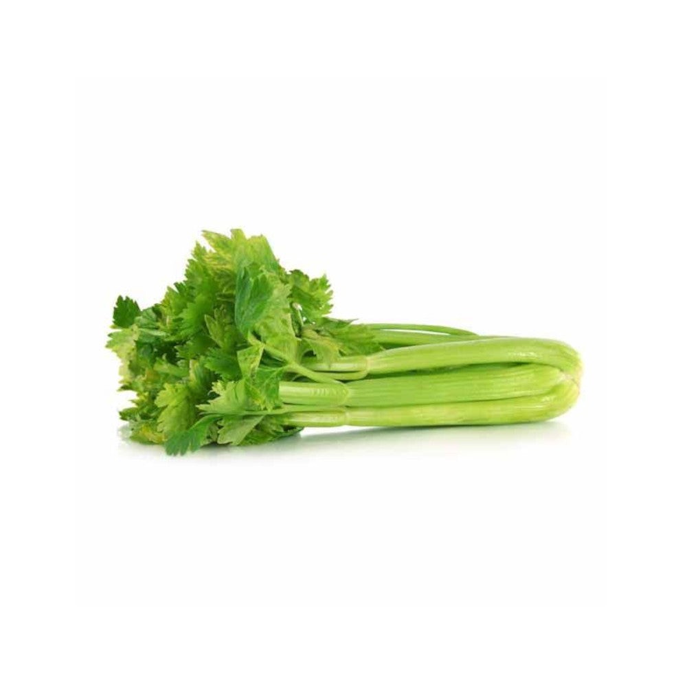 CELERY FRESH 1 EACH