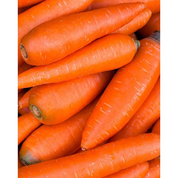 CARROTS REGULAR 2LB MR DUKES