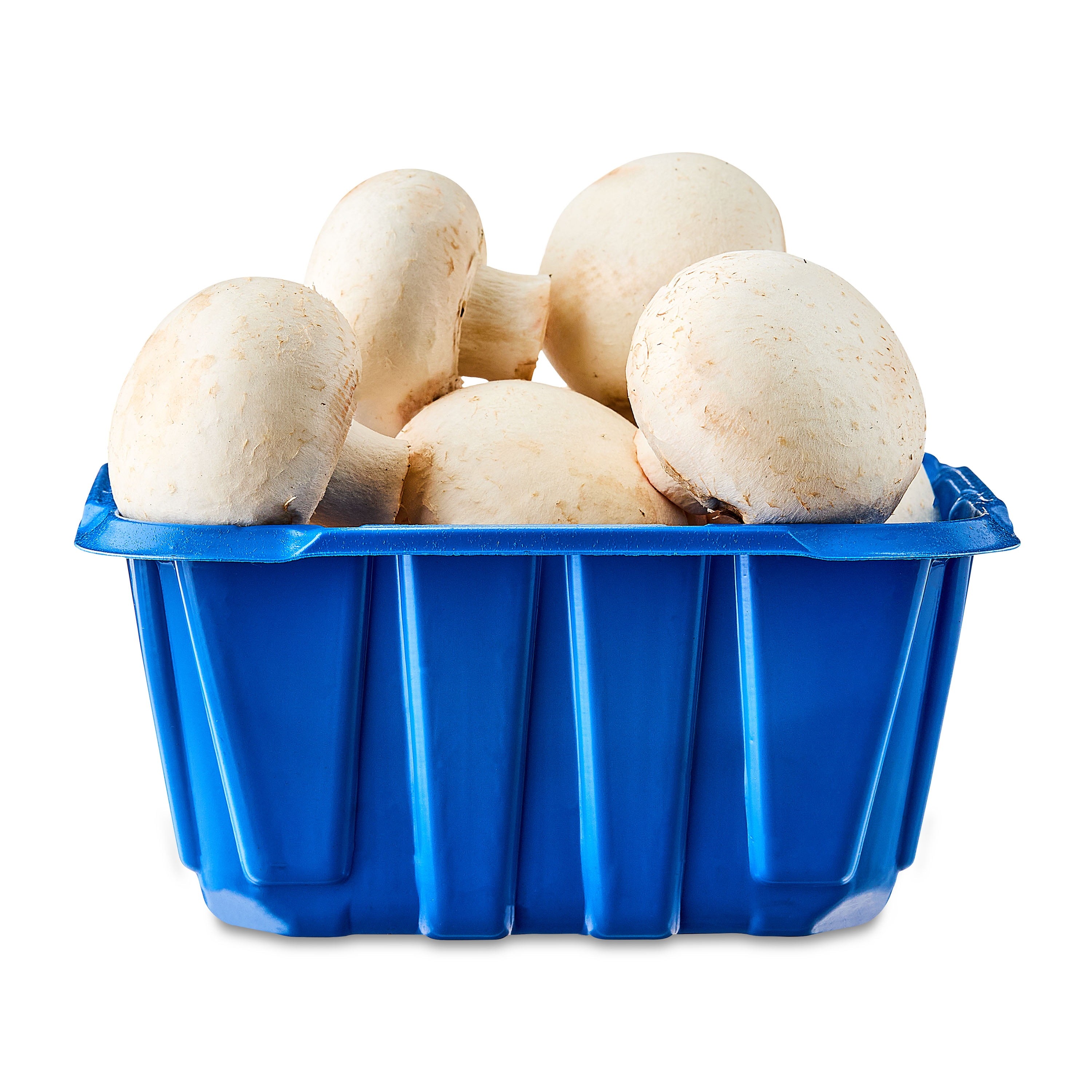 FRSH MUSHROOMS 8 OZ