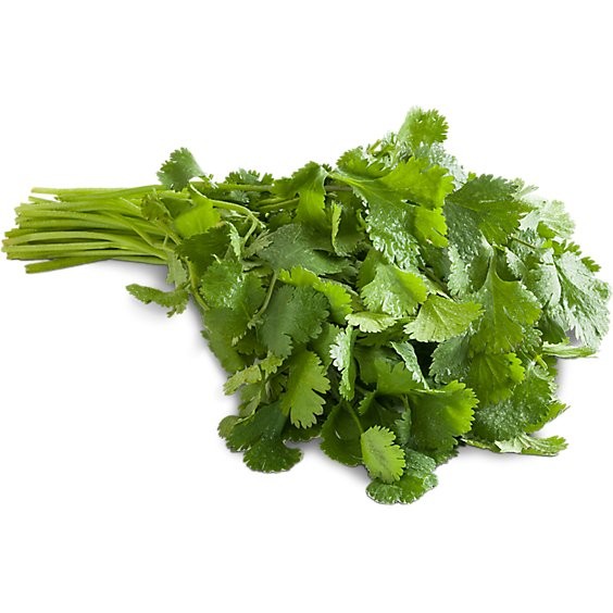 Cilantro 1 BUNCH